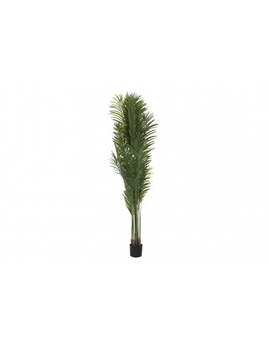 Planta PALMERA 200cm