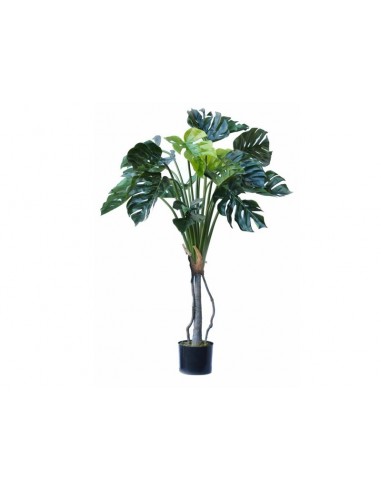 Árbol MONSTERA 120cm