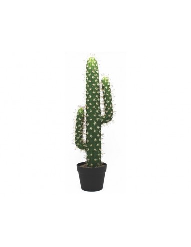 Cactus con maceta 70cm