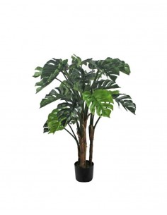 Planta MONSTERA 120cm