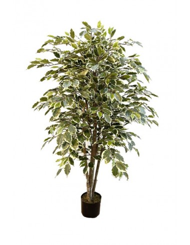 Árbol FICUS matizado 150cm