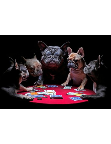 Cuadro foto PERRO POKER