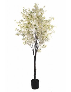 Árbol ALMENDRO blanco 235cm