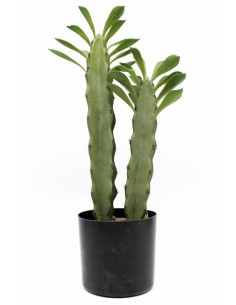 Cactus HOJAS 44cm